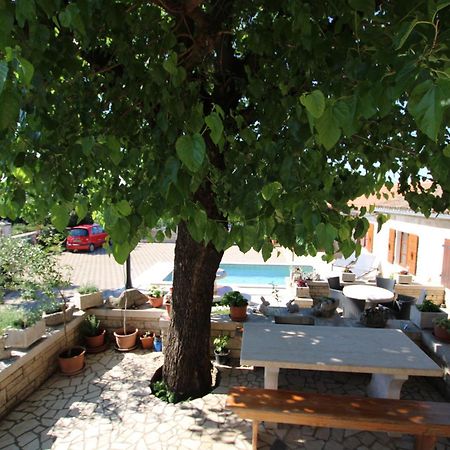 Sveti Lovreč Pazenatički Apartments Vesna With Pool - New! מראה חיצוני תמונה